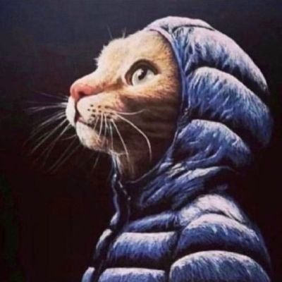 Гриша Рейзов